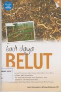 Budi Daya BELUT