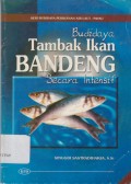 Budidaya Tambak Ikan Bandeng secara Intensif