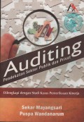 AUDITING PENDEKATAN SEKTOR PUBLIK DAN PRIVAT