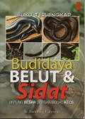 BUDIDAYA BELUT & SIDAT