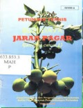 Petunjuk Teknis Budidaya Jarak Pagar (Jatropha Curcas L)