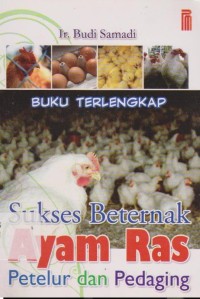Image of Sukses Beternak : Ayam Ras Petelur dan Pedaging